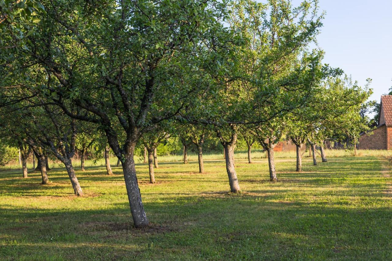 Village Wine House Mandicevac Bagian luar foto