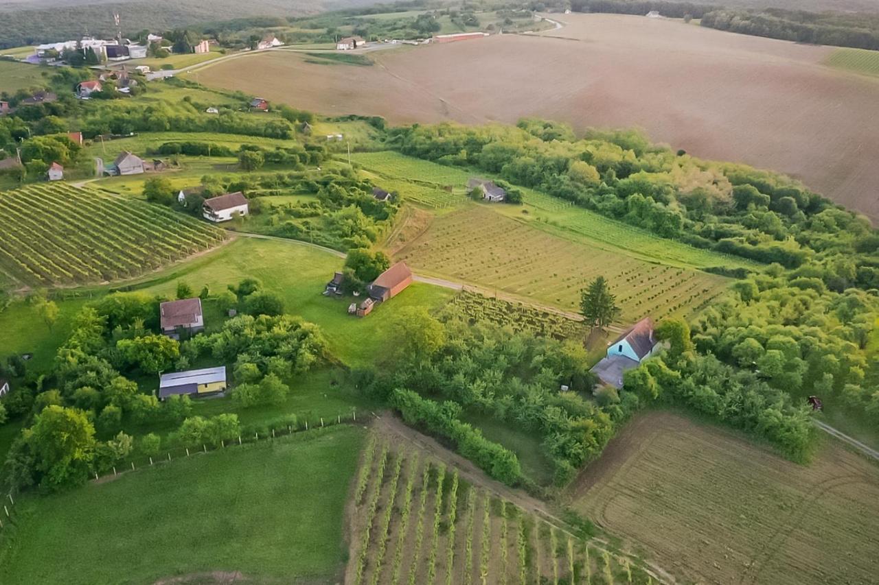 Village Wine House Mandicevac Bagian luar foto