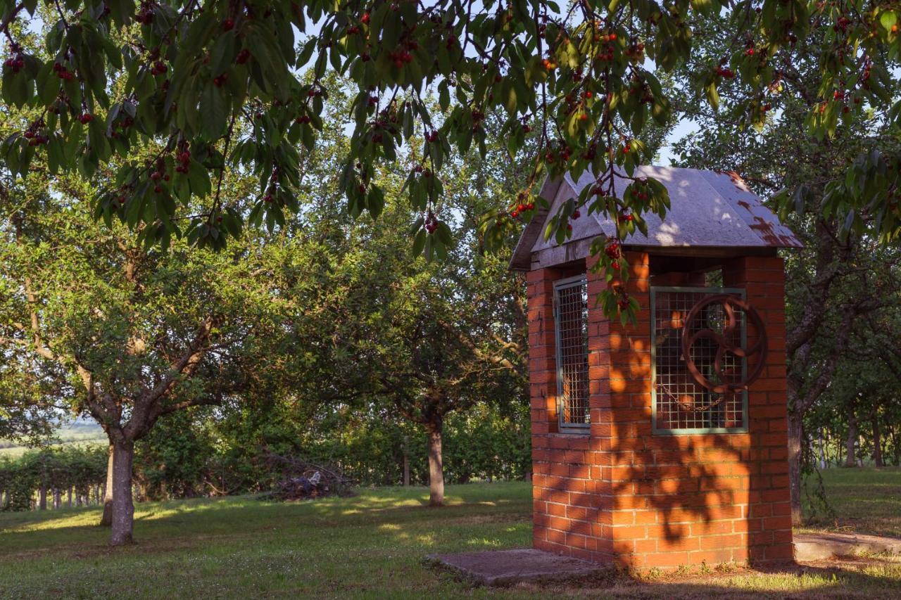 Village Wine House Mandicevac Bagian luar foto