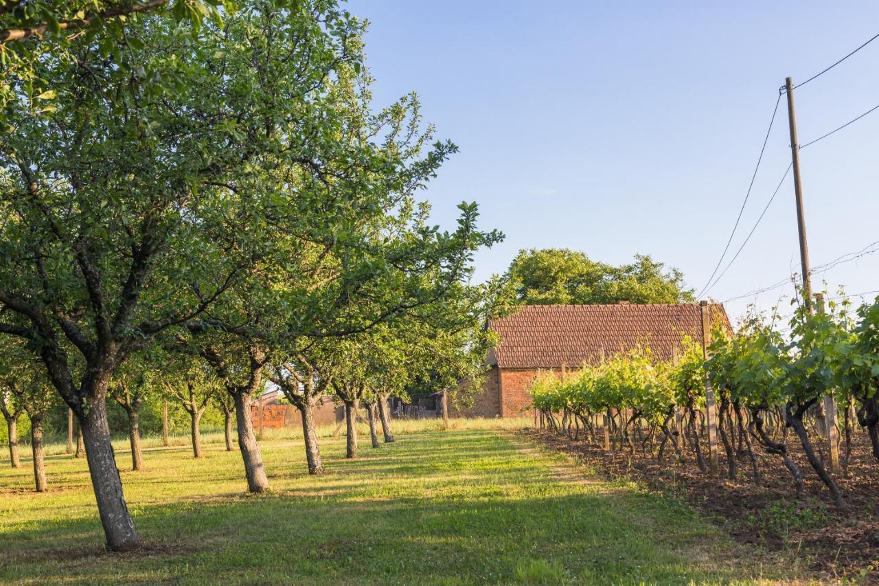 Village Wine House Mandicevac Bagian luar foto