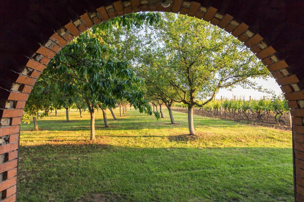 Village Wine House Mandicevac Bagian luar foto