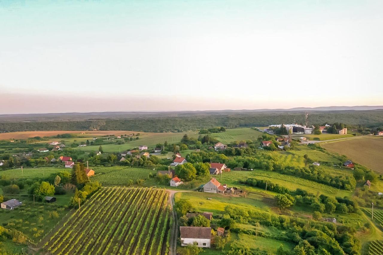 Village Wine House Mandicevac Bagian luar foto