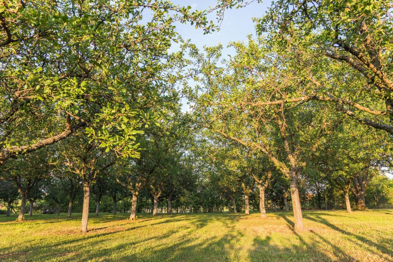 Village Wine House Mandicevac Bagian luar foto