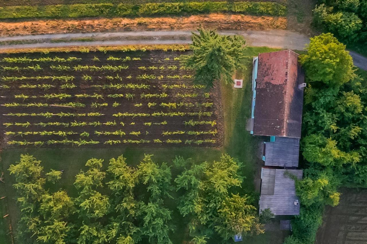 Village Wine House Mandicevac Bagian luar foto