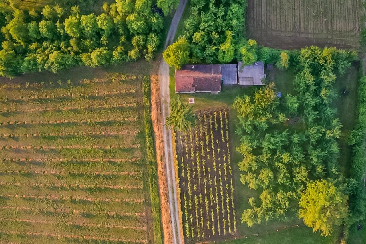Village Wine House Mandicevac Bagian luar foto