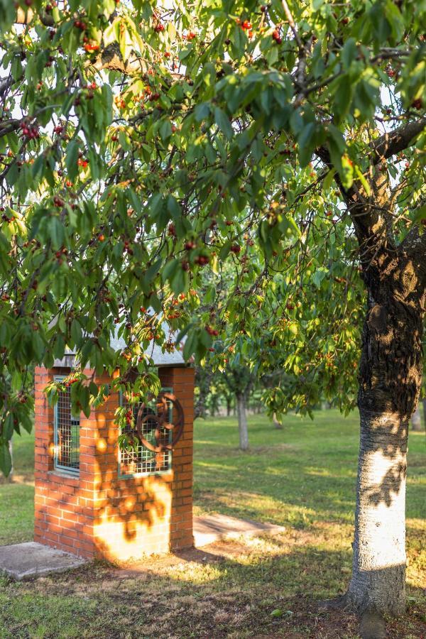 Village Wine House Mandicevac Bagian luar foto