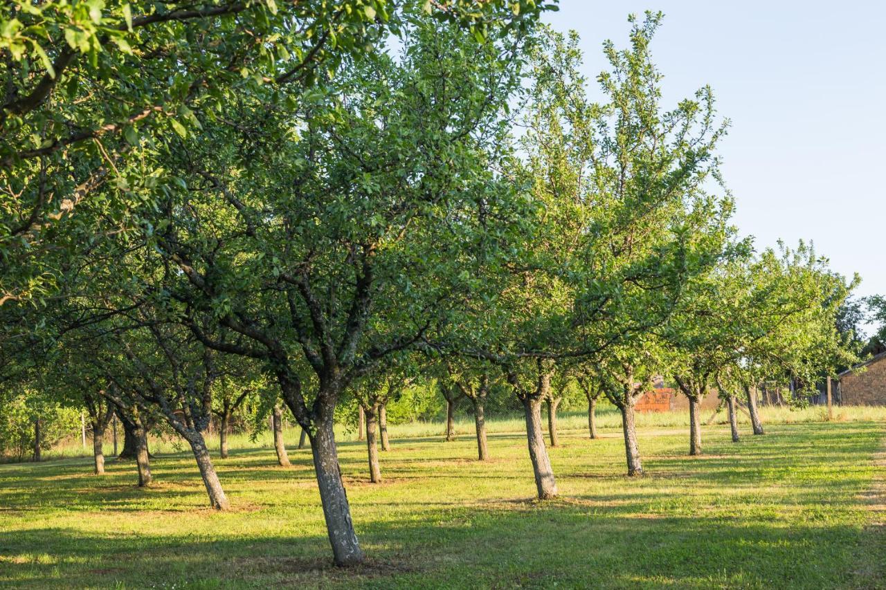 Village Wine House Mandicevac Bagian luar foto