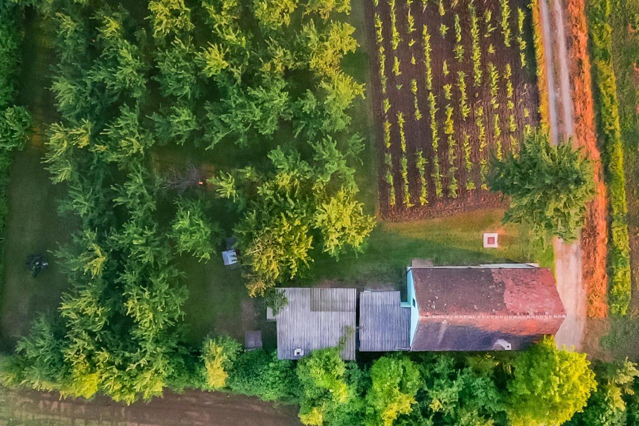 Village Wine House Mandicevac Bagian luar foto