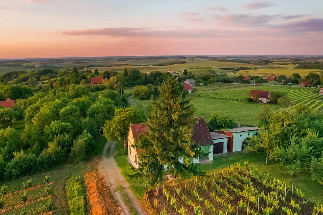 Village Wine House Mandicevac Bagian luar foto