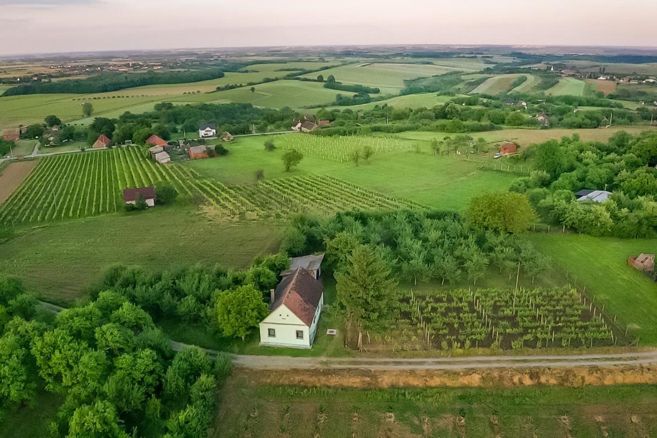 Village Wine House Mandicevac Bagian luar foto