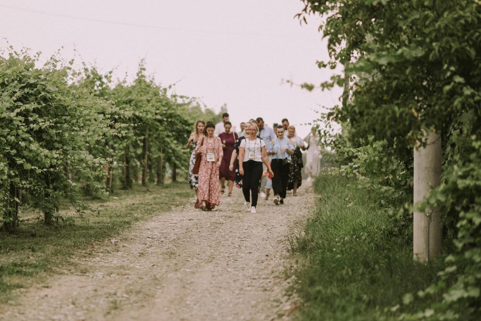 Village Wine House Mandicevac Bagian luar foto